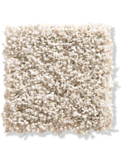 Langflor-Teppichboden, Creme 60 -Haushaltsgegenstände Geschäft Trepito LangflorTeppichboden Creme Creme60 10x10 lup