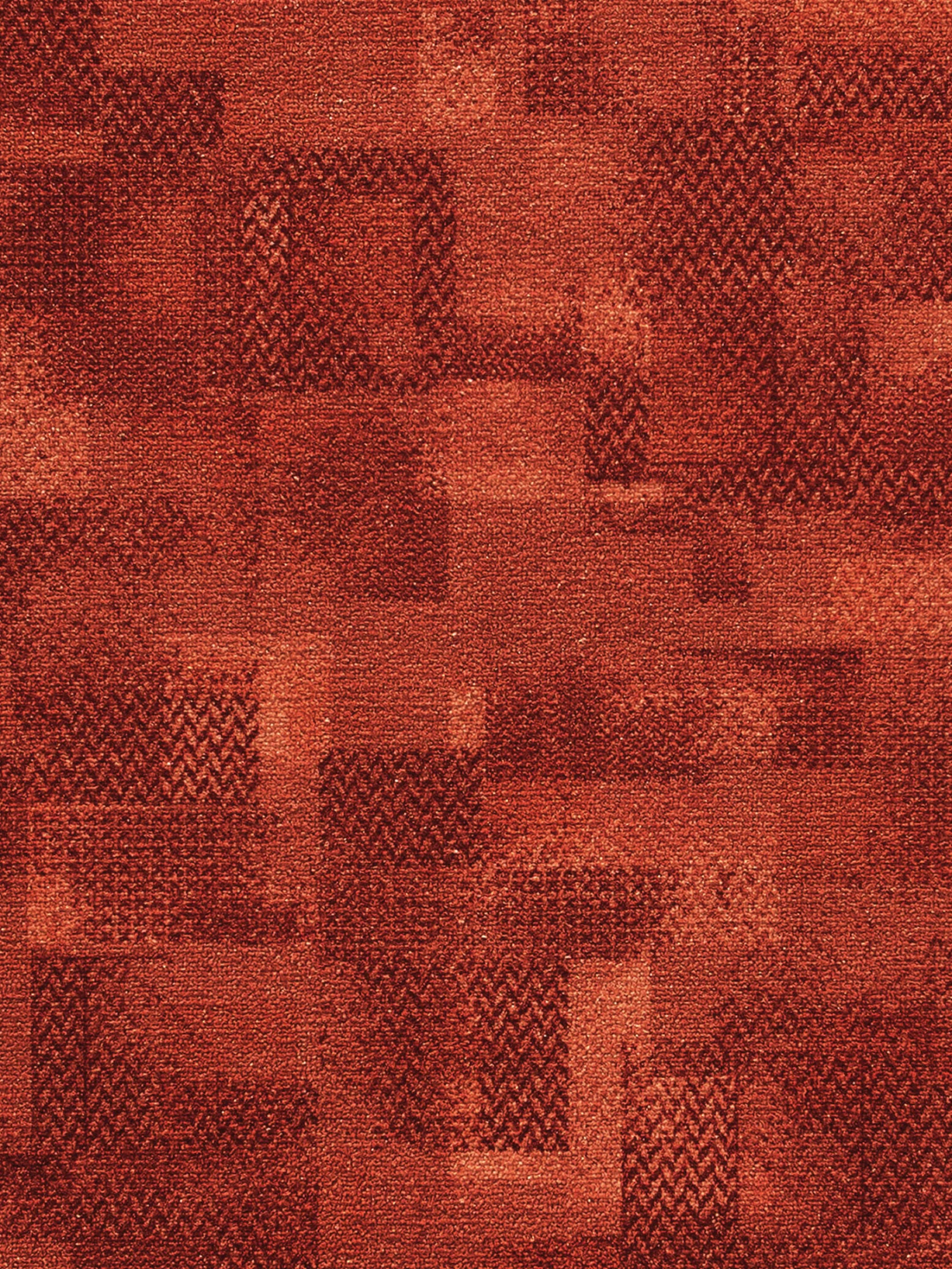 Läufer, Terra 3 Läufer, Terra – Bild 3