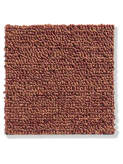 Schlingen-Teppichboden, Terra 38