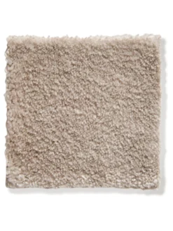 Velours-Teppichboden, Latte Macchiato -Haushaltsgegenstände Geschäft Vicenza Veloursteppichboden Hellbraun LatteMacchiato49 lupB