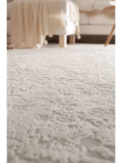 Vintage-Teppich, Ivory -Haushaltsgegenstände Geschäft Vikonia VintageTeppich Grau Silber 160x230 mil4